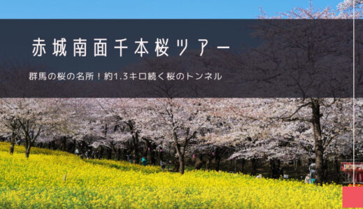 赤城南面千本桜 おすすめツアー特集！