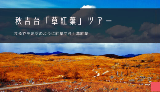 秋吉台「草紅葉」おすすめツアー特集！