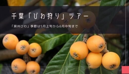 千葉「びわ狩り」おすすめツアー特集！