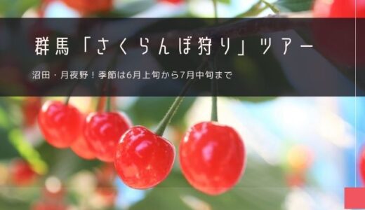 群馬「さくらんぼ狩り」おすすめツアー特集！