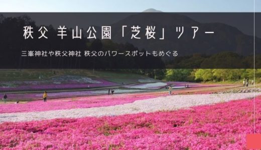 秩父・羊山公園「芝桜」おすすめツアー特集！