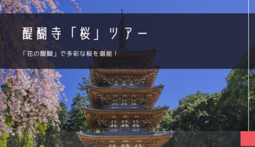 醍醐寺「桜」おすすめツアー特集！