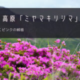 えびの高原「ミヤマキリシマ」おすすめツアー特集！