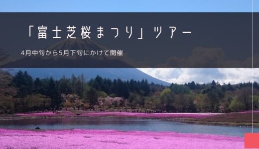 富士芝桜まつり おすすめバスツアー特集！