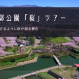 五稜郭公園「桜」 おすすめツアー特集！