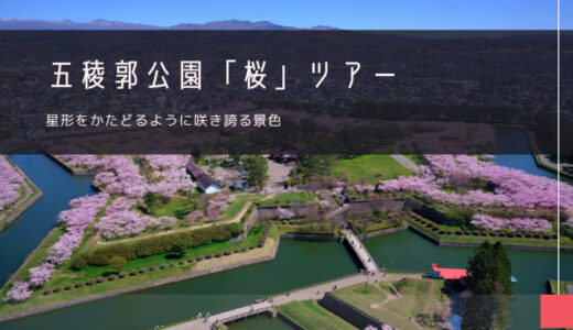 五稜郭公園「桜」 おすすめツアー特集！