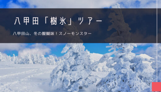 八甲田「樹氷」おすすめツアー特集！