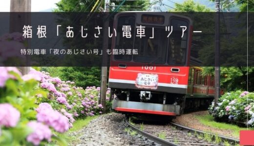 箱根「あじさい電車」おすすめツアー特集！夜はライトアップも