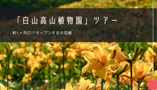 白山高山植物園 おすすめツアー特集！