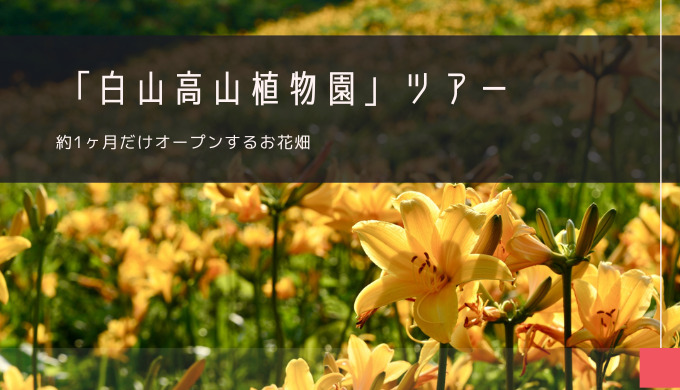 白山高山植物園 おすすめツアー特集！