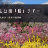 花見山公園「桜」おすすめツアー特集！