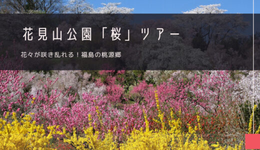 花見山公園「桜」おすすめツアー特集！