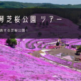 東藻琴芝桜公園 おすすめツアー特集！