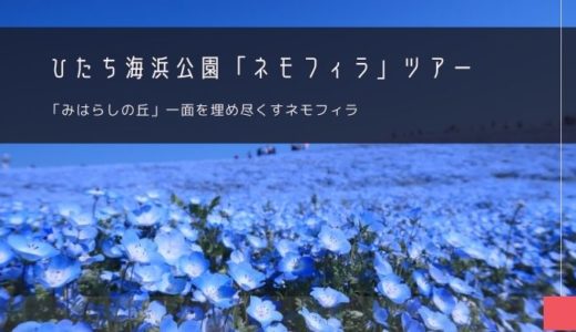 ひたち海浜公園「ネモフィラ」おすすめツアー特集！