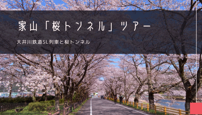家山「桜トンネル」おすすめツアー特集！