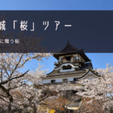 犬山城「桜」おすすめツアー特集！
