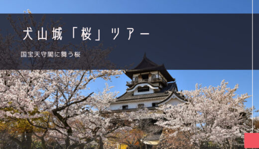犬山城「桜」おすすめツアー特集！