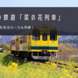 いすみ鉄道「菜の花列車」おすすめツアー特集！