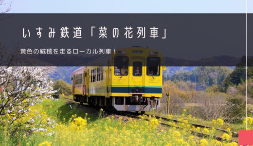 いすみ鉄道「菜の花列車」おすすめツアー特集！