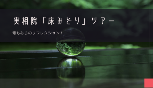 実相院「床みどり」おすすめツアー特集！