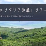 ジャングリア沖縄（JUNGLIA OKINAWA）おすすめツアー特集！【2025年】