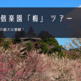 水戸 偕楽園「梅」おすすめツアー特集！