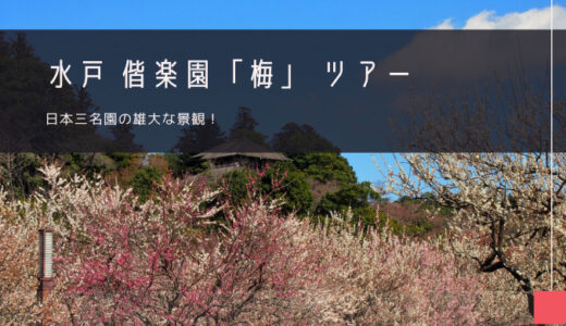 水戸 偕楽園「梅」おすすめツアー特集！