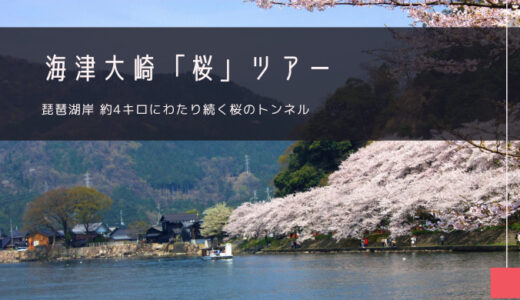 海津大崎「桜」おすすめツアー特集！