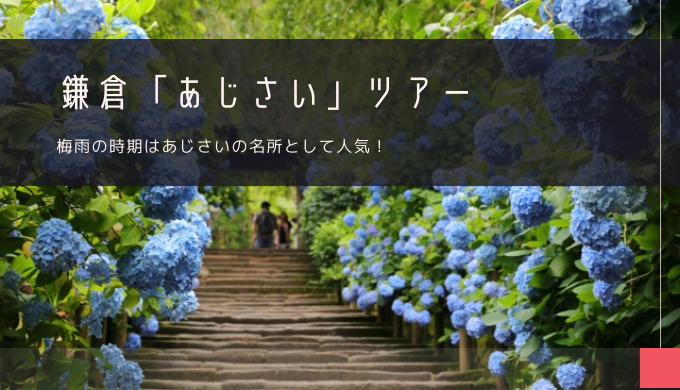 鎌倉「あじさい」おすすめツアー特集！