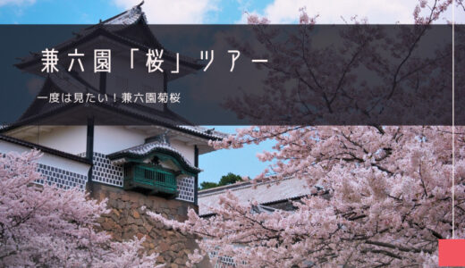 兼六園「桜」おすすめツアー特集！