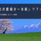 小岩井農場の一本桜 おすすめツアー特集！