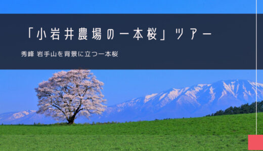 小岩井農場の一本桜 おすすめツアー特集！