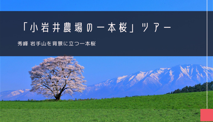 小岩井農場の一本桜 おすすめツアー特集！