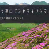 くじゅう連山「ミヤマキリシマ」おすすめツアー特集！