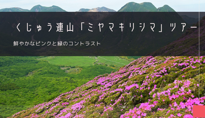 くじゅう連山「ミヤマキリシマ」おすすめツアー特集！