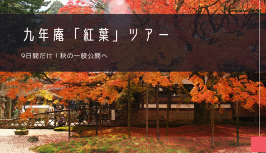 九年庵「紅葉」おすすめツアー特集！