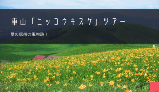 車山高原「ニッコウキスゲ」おすすめツアー特集！