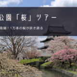 松前公園「桜」おすすめツアー特集！