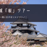 松山城「桜」おすすめツアー特集！