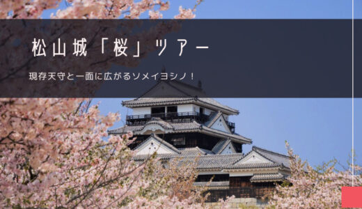 松山城「桜」おすすめツアー特集！