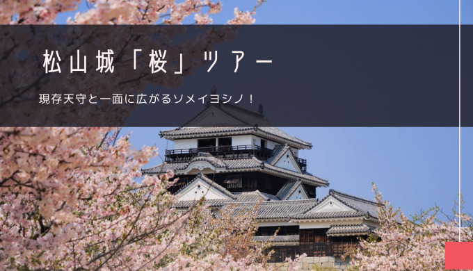 松山城「桜」おすすめツアー特集！