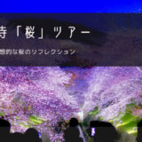 三井寺「桜」おすすめツアー特集！