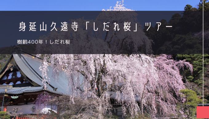 身延山久遠寺「しだれ桜」おすすめツアー特集！