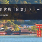 安芸の宮島「紅葉」おすすめツアー特集！