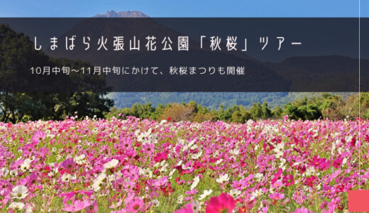 しまばら火張山花公園「秋桜まつり」おすすめツアー特集！