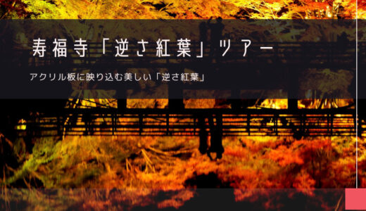 寿福寺「逆さ紅葉」おすすめツアー特集！