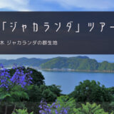 宮崎「ジャカランダ」おすすめツアー特集！