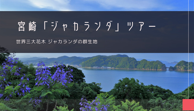 宮崎「ジャカランダ」おすすめツアー特集！