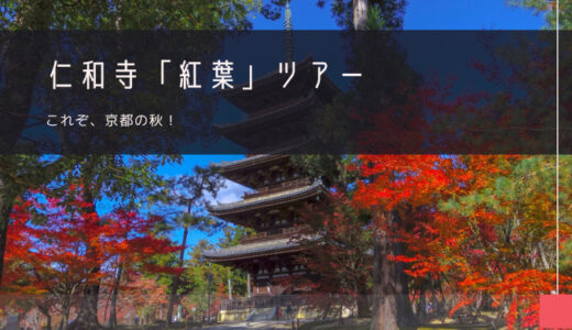 仁和寺「紅葉」おすすめツアー特集！