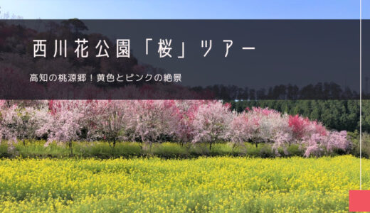 西川花公園「桜」おすすめツアー特集！